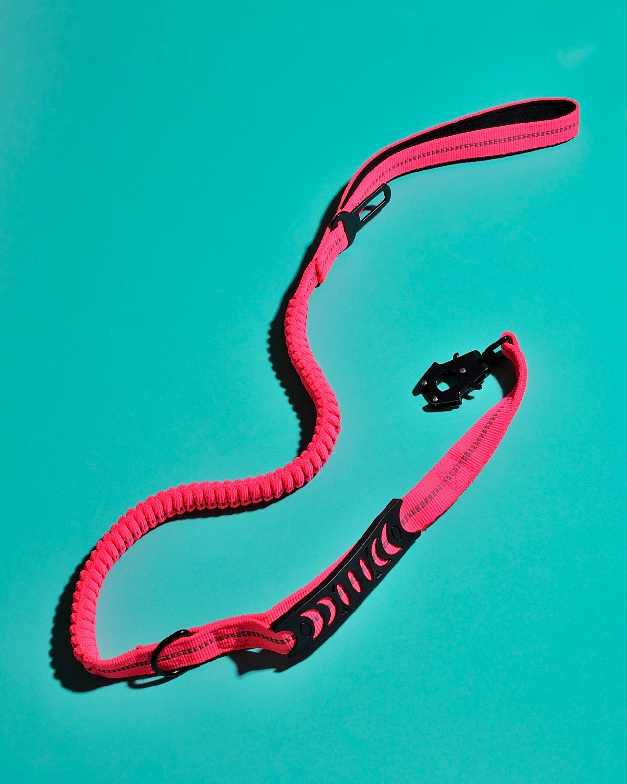 bungee stretch dog leash