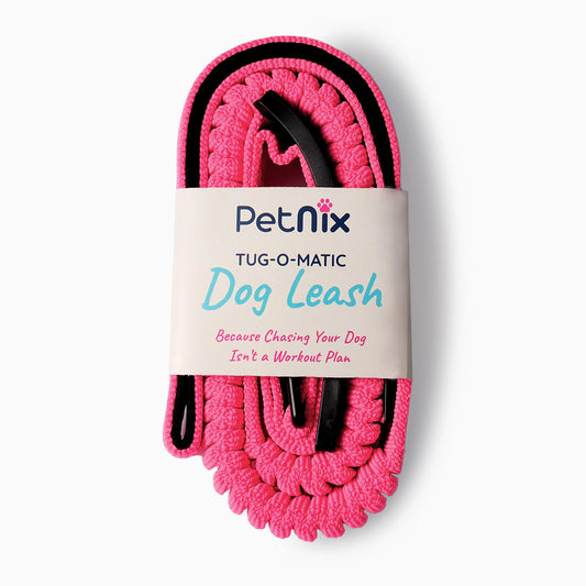 Comfortable dog lead for smooth walks and travel safety