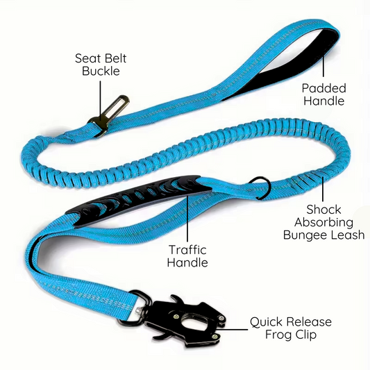 Comfortable dog lead for smooth walks and travel safety