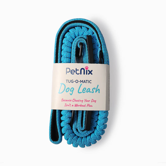 Comfortable dog lead for smooth walks and travel safety