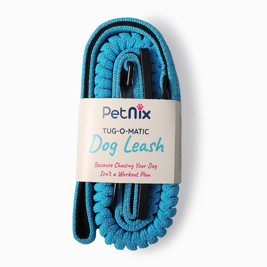 Comfortable dog lead for smooth walks and travel safety