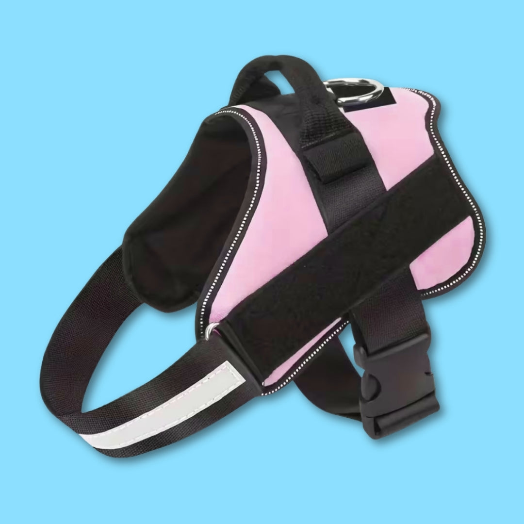 SercureFit Harness & Collar