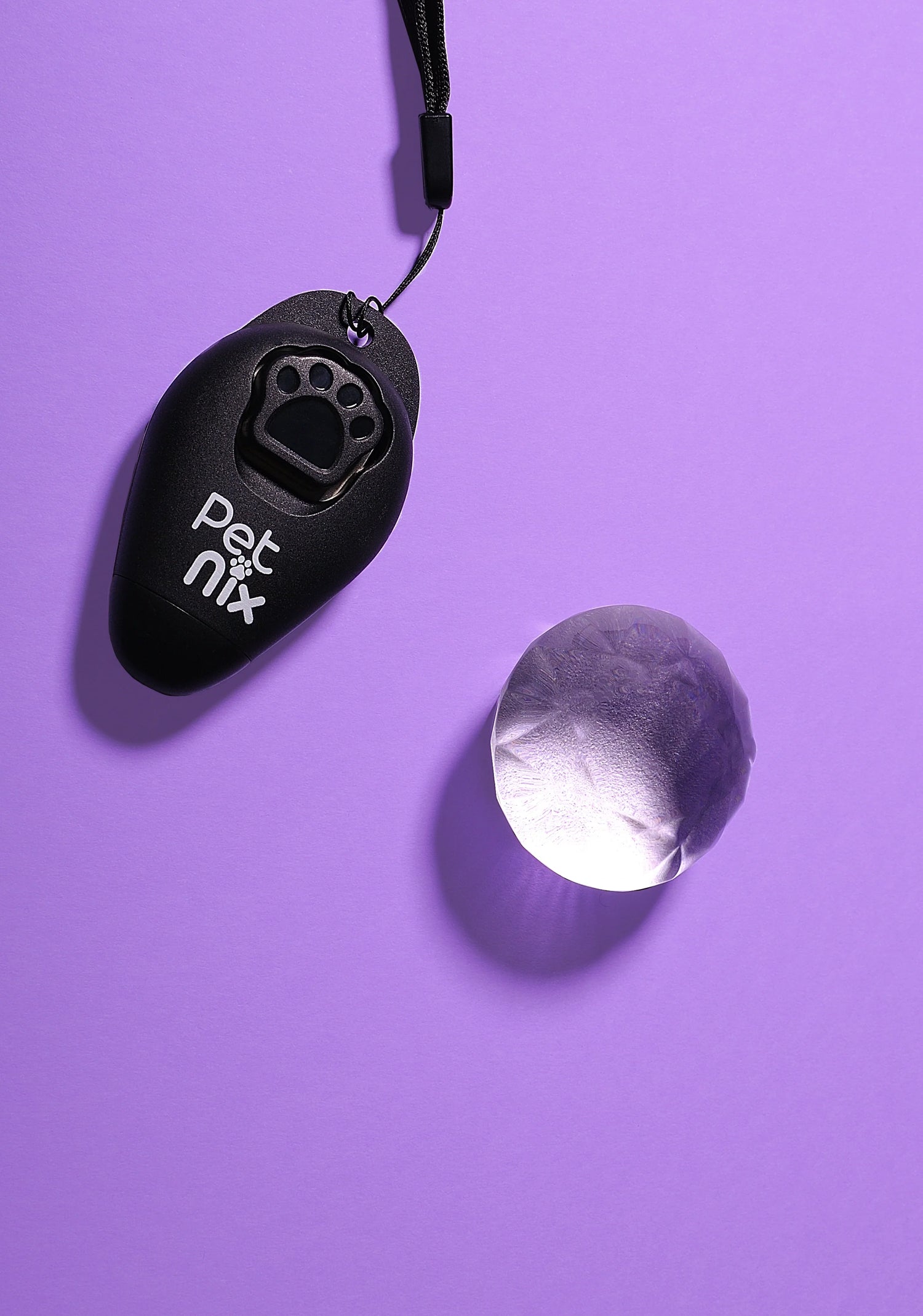 dog training clicker