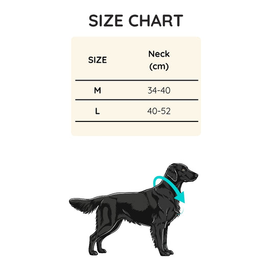 Size chart for dog collars with a black dog illustration wearing a teal collar.
