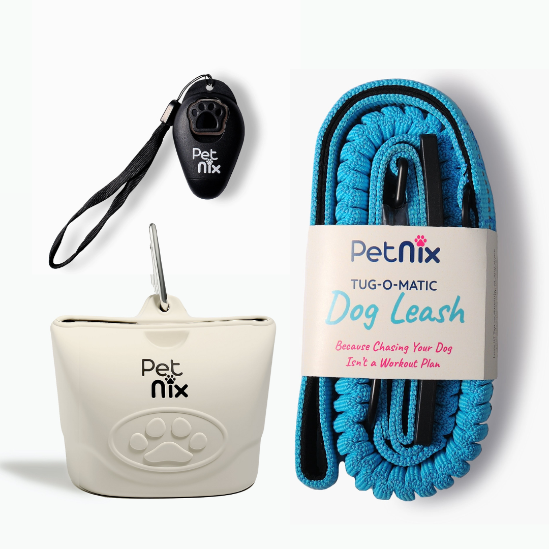 Pet Nix dog leash, training clicker, and dog treat pouch