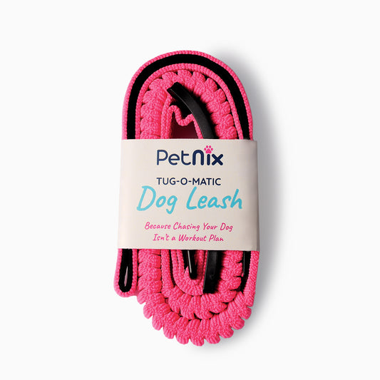 Comfortable dog lead for smooth walks and travel safety