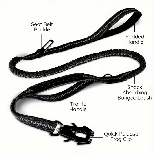 Premium stretchable dog lead designed for safety, control, and comfort.