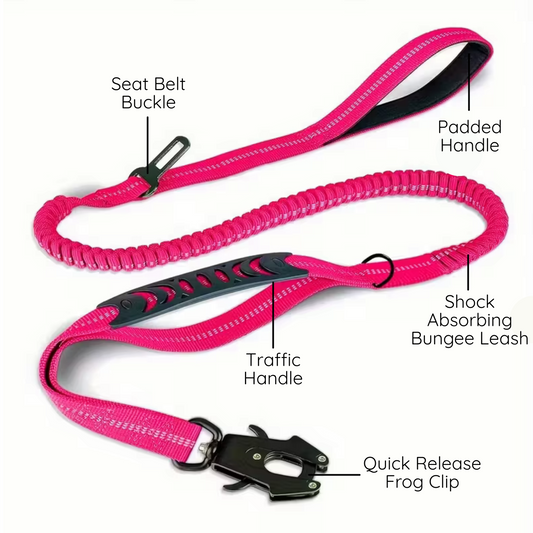 Comfortable dog lead for smooth walks and travel safety