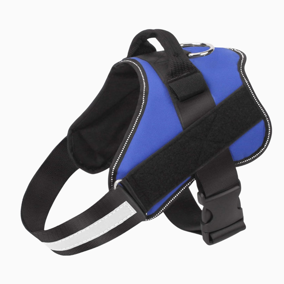 Blue and black dog harness on a white background