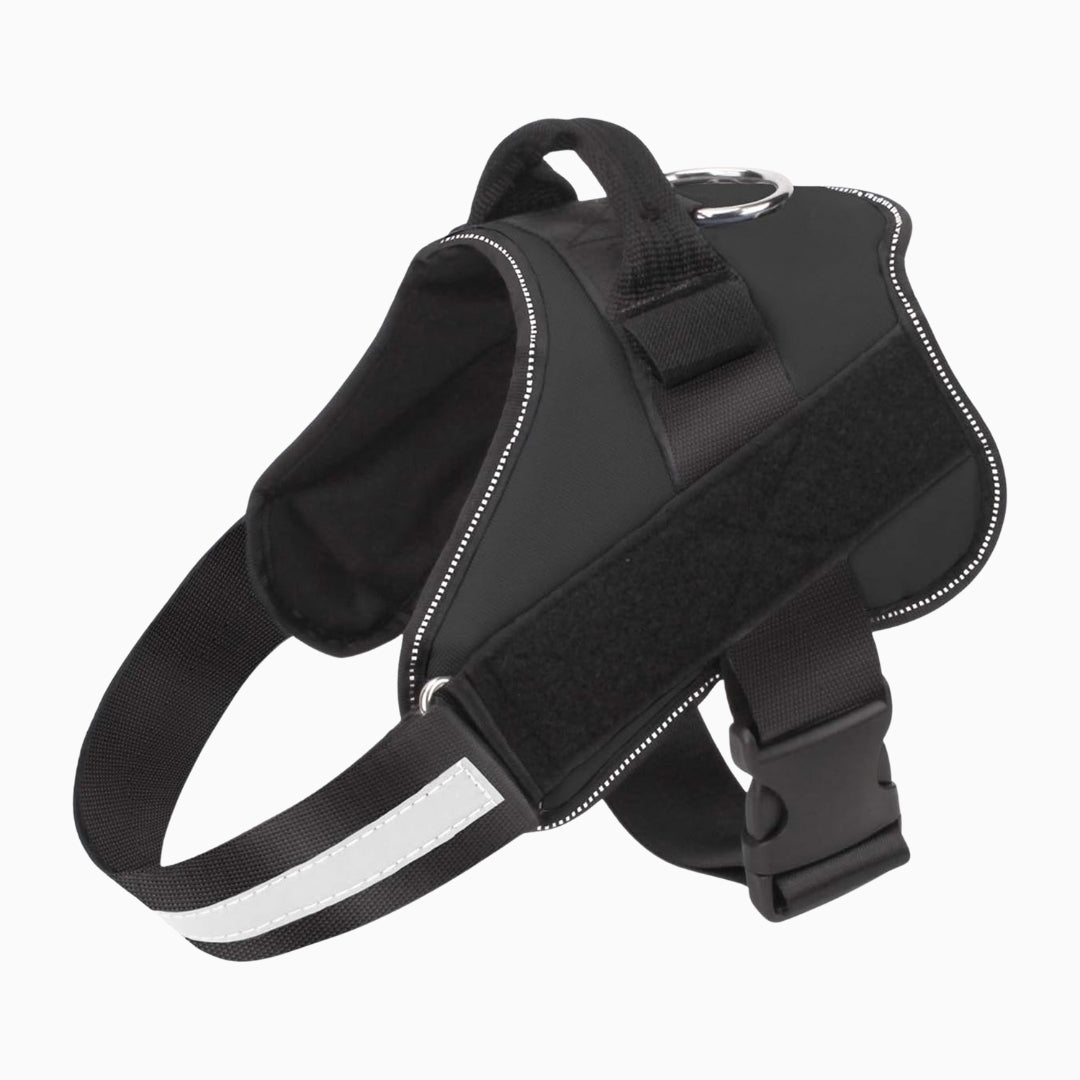 Black dog harness with reflective stripes on a white background