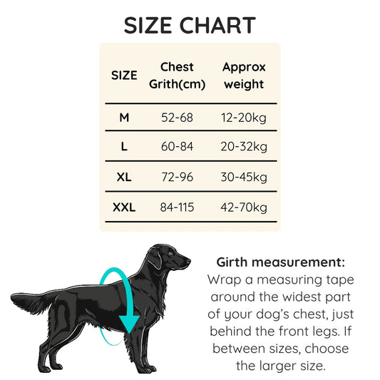 Dog size chart with chest girth measurements and approximate weights.
